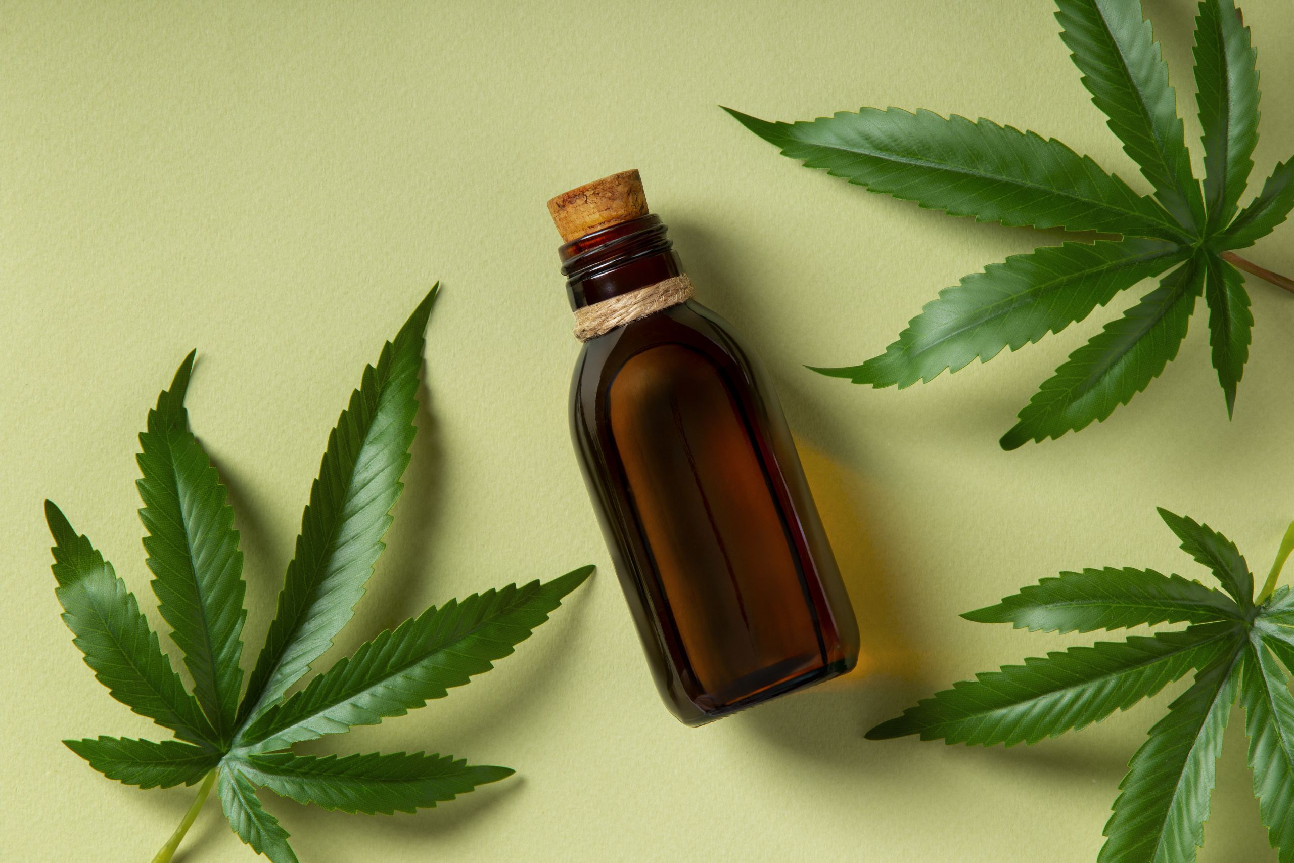 2024, O que o Estado entregou aos pacientes de Cannabis Medicinal?