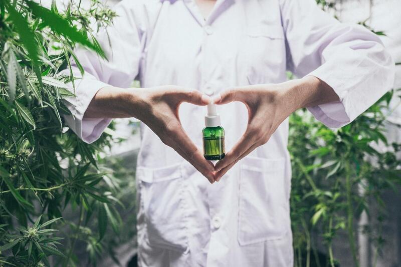 canabidiol no brasil cultivo