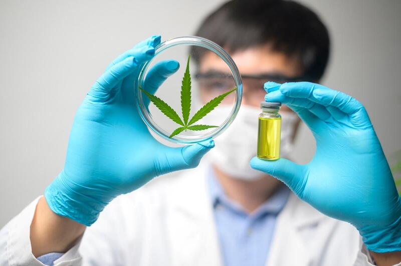canabidiol no brasil frasco