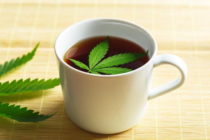 folha de cannabis cha