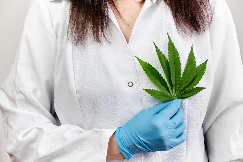 remedio para epilepsia planta