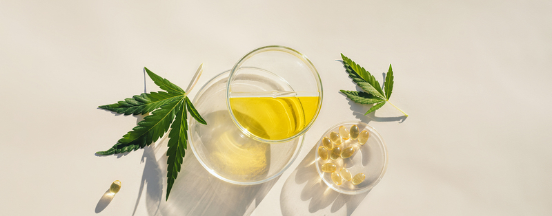 Uso do canabidiol em condições medicas