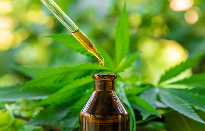 armazenamento-de-cbd-como-fazer