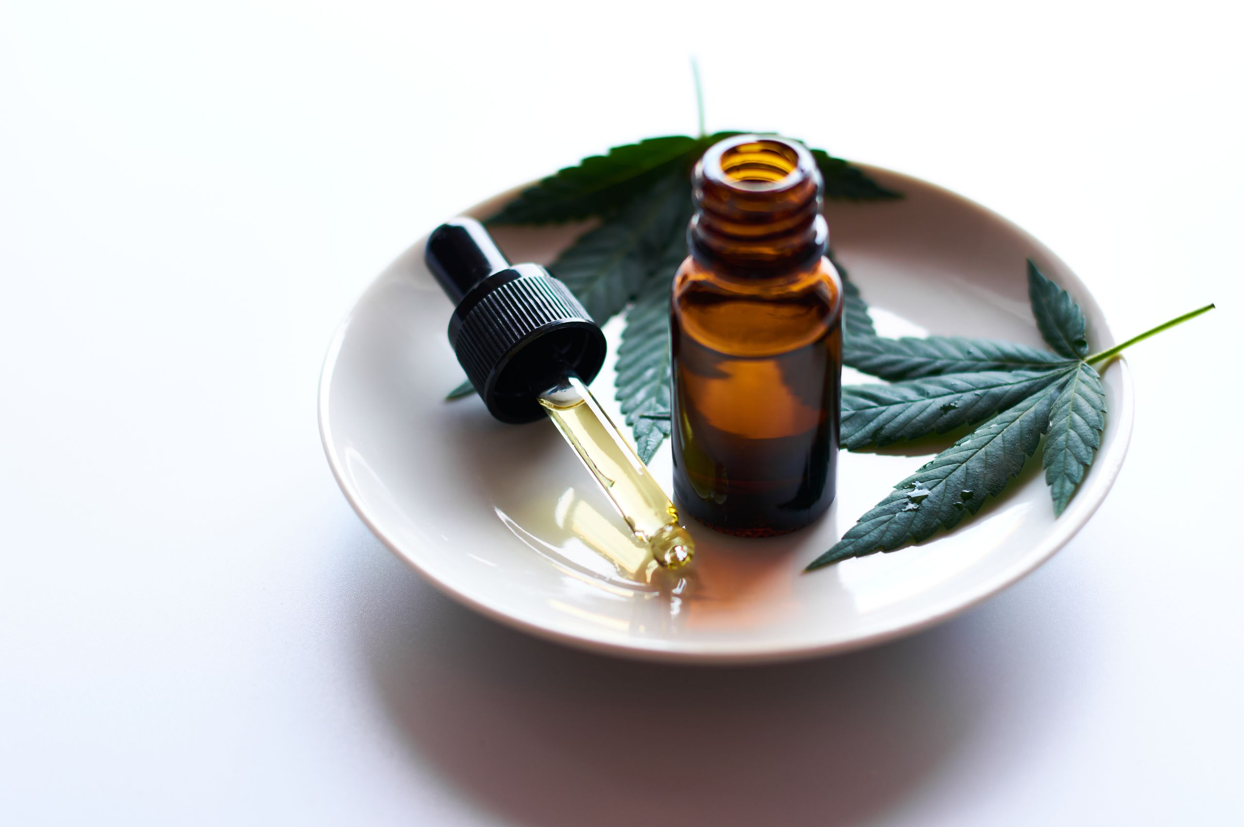 autismo leve tratamento com cannabis