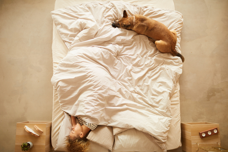 como dormir bem sem precisar de remedios