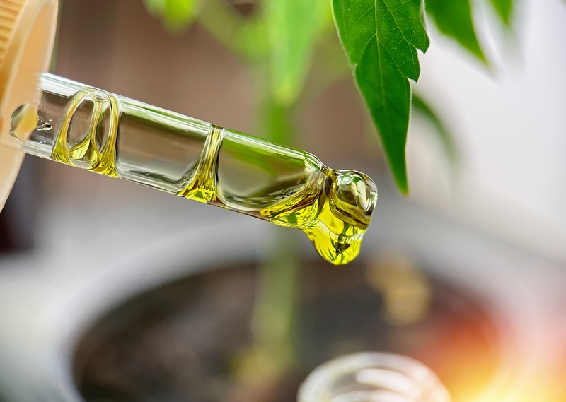 oleo de cbd full spectrum efeitos colaterais agudos
