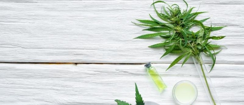 THC e CBD