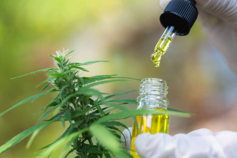 CBD laboratorio o que e um de testes