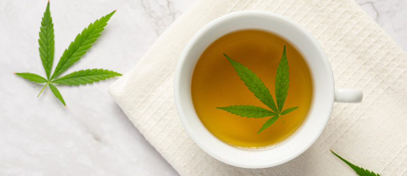 Canflavina: conheça os flavonoides da Cannabis