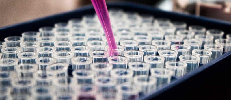 Cientista brasileiro busca pacientes para estudo de autismo e CBD