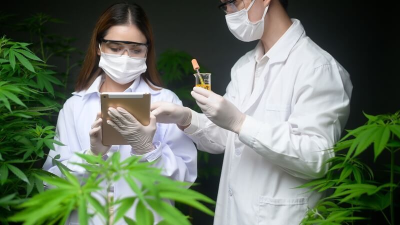 como conseguir canabidiol pelo sus ciencia