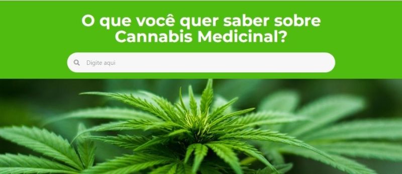 jornalista-cannabis