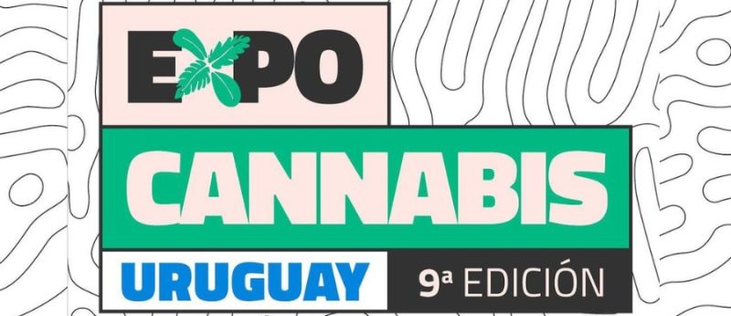 Denise-Fotos-Materias-Portal-Cannabis-Saude-2022-11-28T111820.904