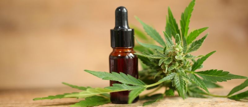 cannabis 2022