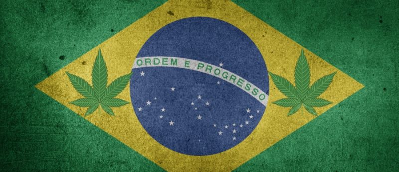 Denise-Fotos-Materias-Portal-Cannabis-Saude-2022-11-30T182032.856