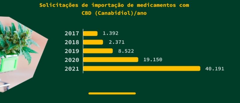 Denise-Fotos-Materias-Portal-Cannabis-Saude-2022-12-06T160409.658