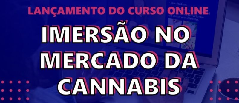 Curso Kaya Mind
