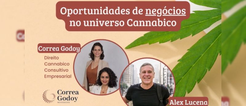 negocios