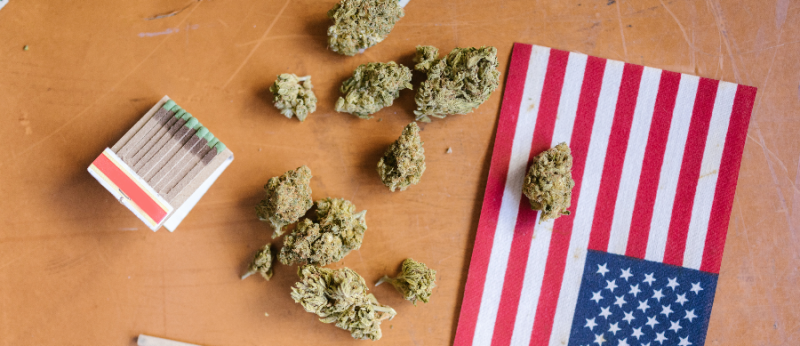 FDA deve reclassificar Cannabis, segundo ex-membro da agência