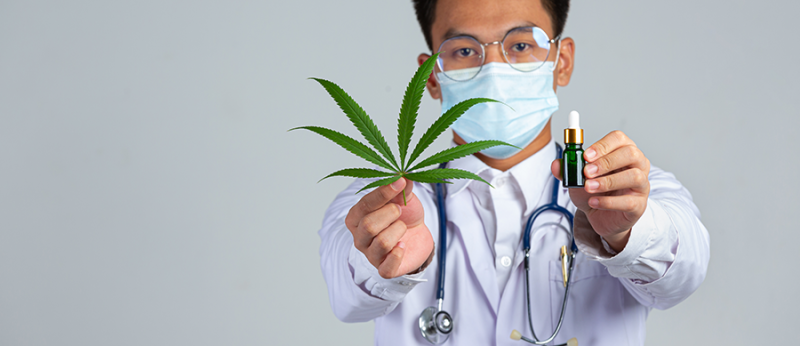 Cannabis no SUS
