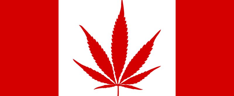 bandeira canada