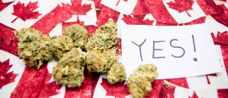 canada cannabis