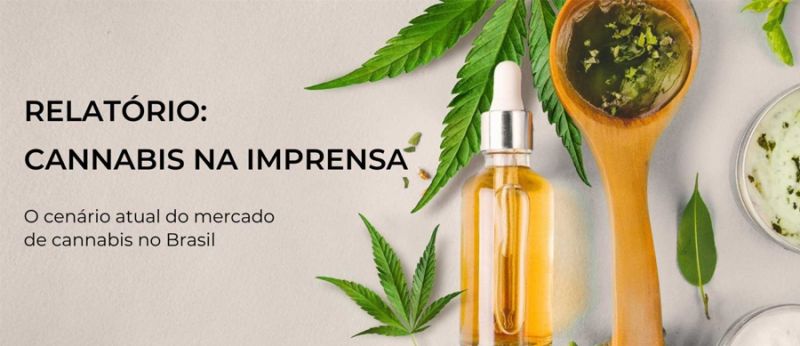 cannabis imprensa