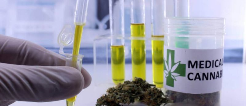 cbd-alcoolismo