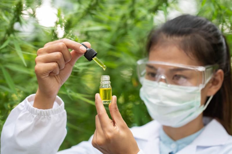 dia-do-transtorno-bipolar-existem-estudos-que-apontam-beneficios-CBD-no-tratamento