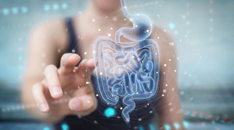 doença de crohn causas diagnostico sintomas como tratar