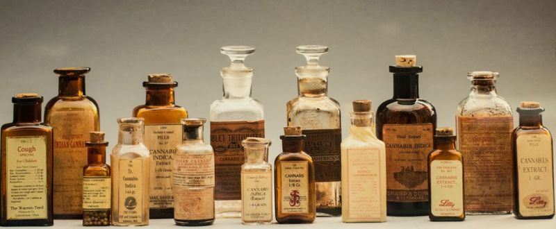 Cannabis Museum: The Art of Ancient Medicine