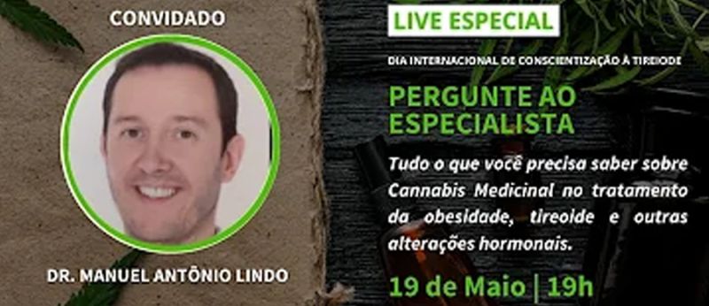 livel indo