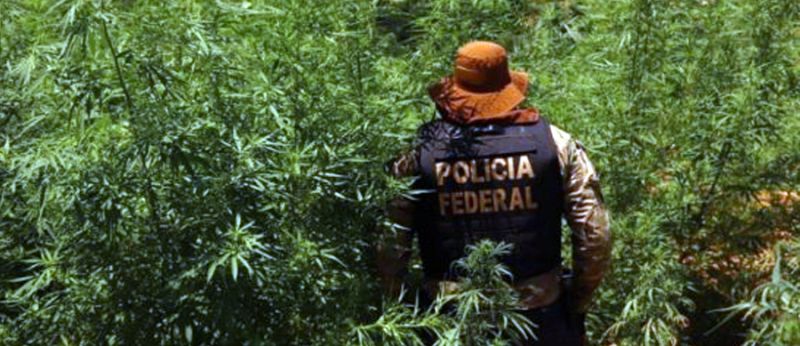 Foto: Polícia Federal/ Divulgação