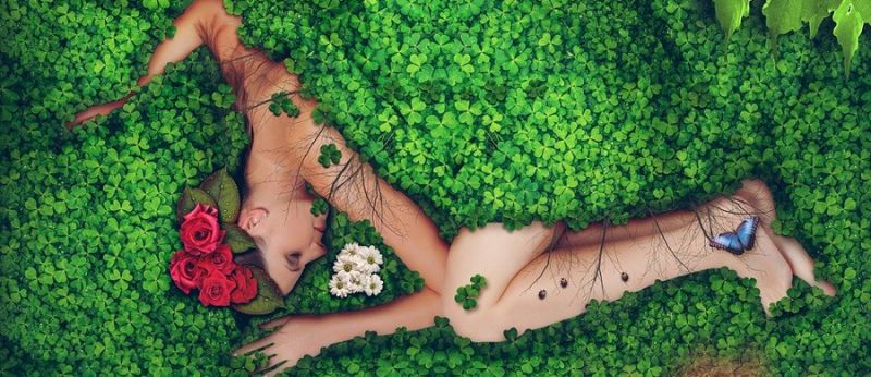 sono rem cannabis