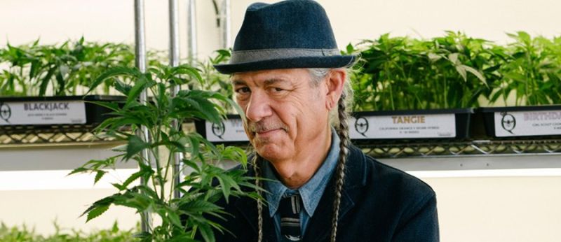 steve deangelo