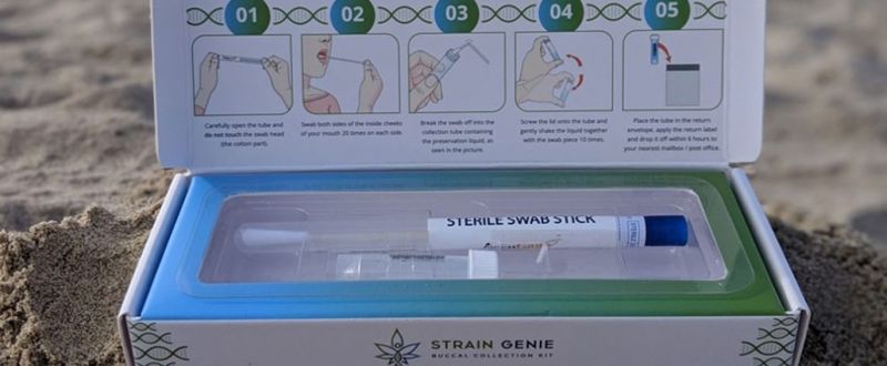 Divulgação | Coletor de saliva da Strain Genie