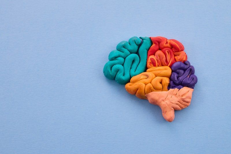 tipos de transtornos mentais cerebro