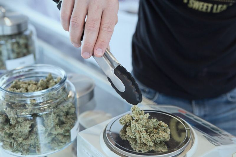 uso-de-cannabis-entre-idosos-cresce-nos-eua-1024x683
